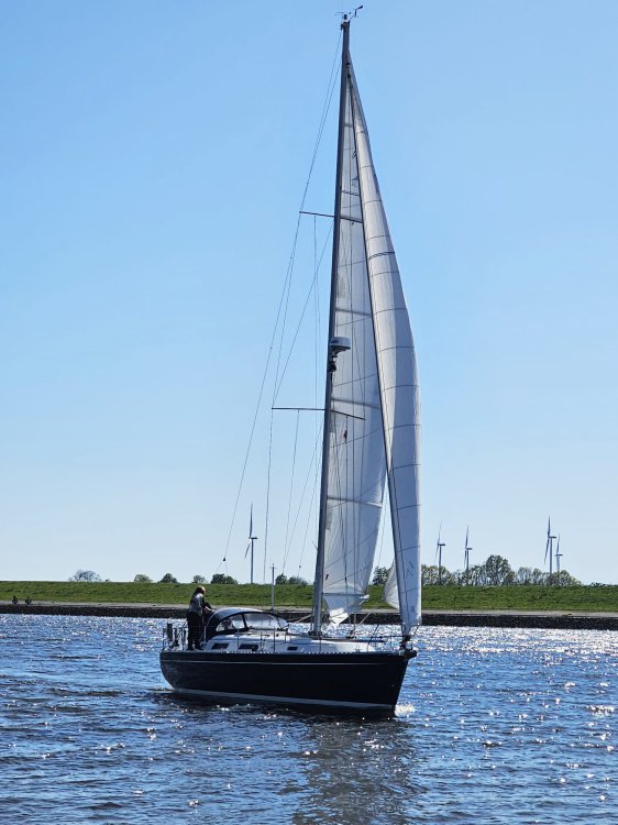 Ansegeln 2026